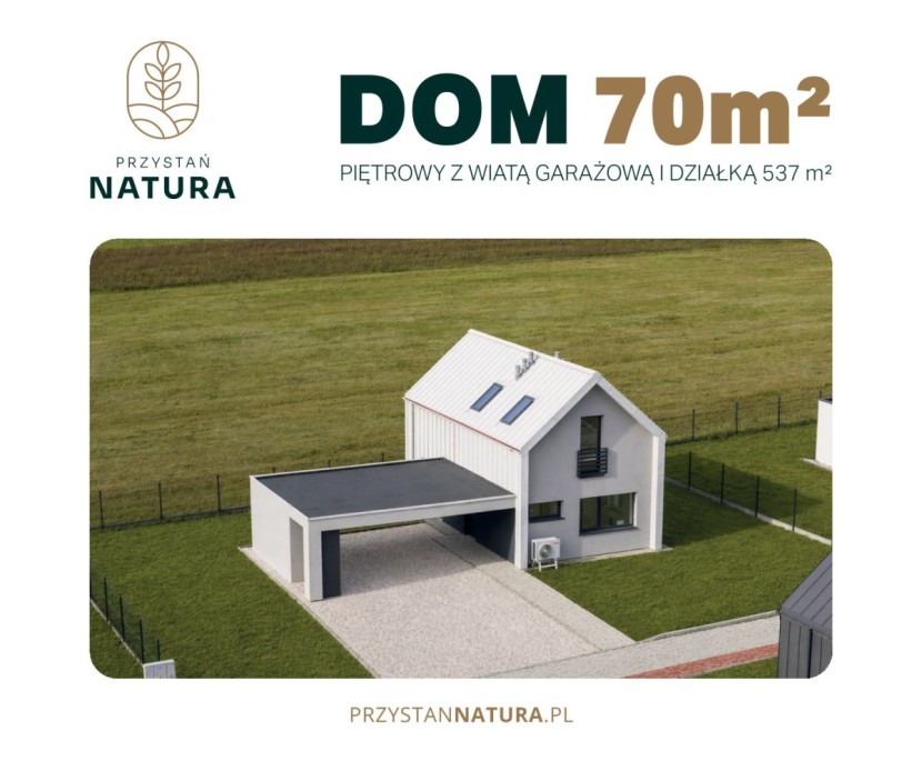 Dom 6