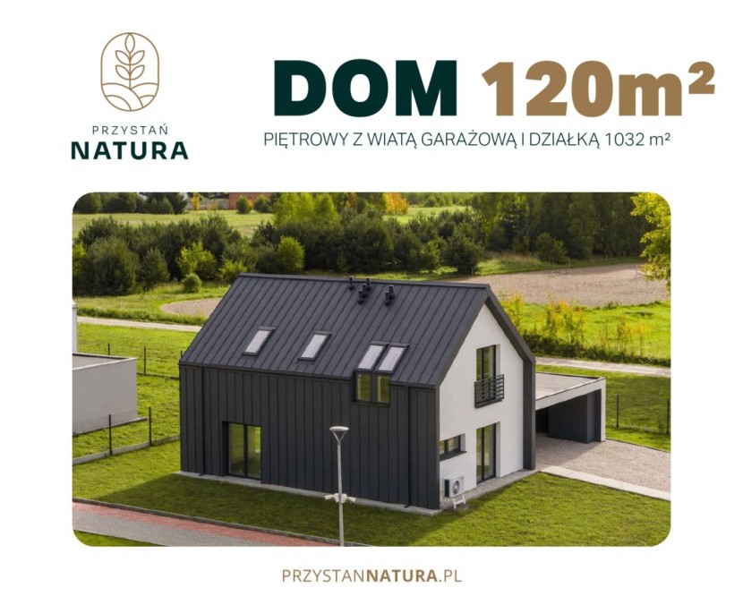 Dom 8