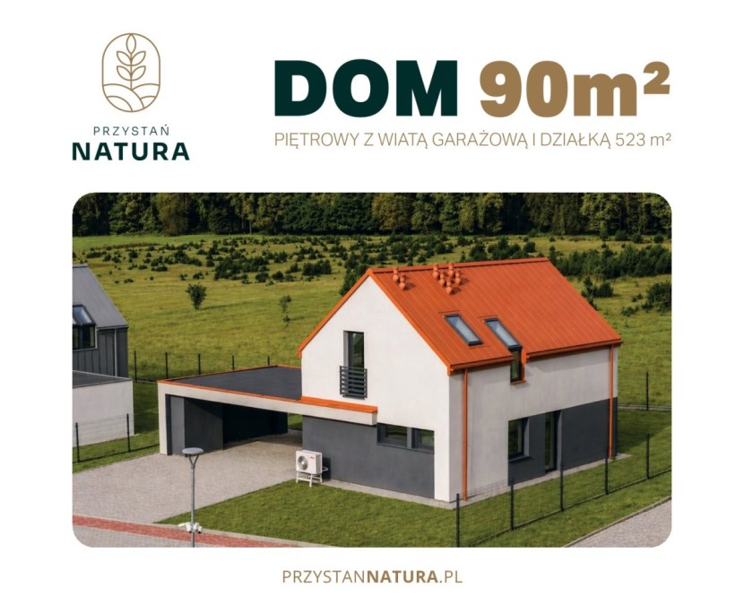 Dom 11